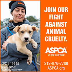 ASPCA: American Society for the Prevention of Cruelty to Animals