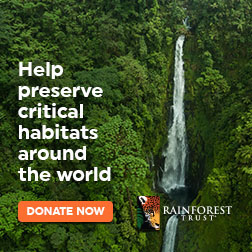 Threats to Rainforests – Rainforest Trust