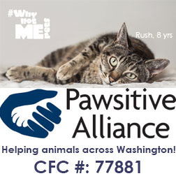 Events - PAWSITIVE ALLIANCE